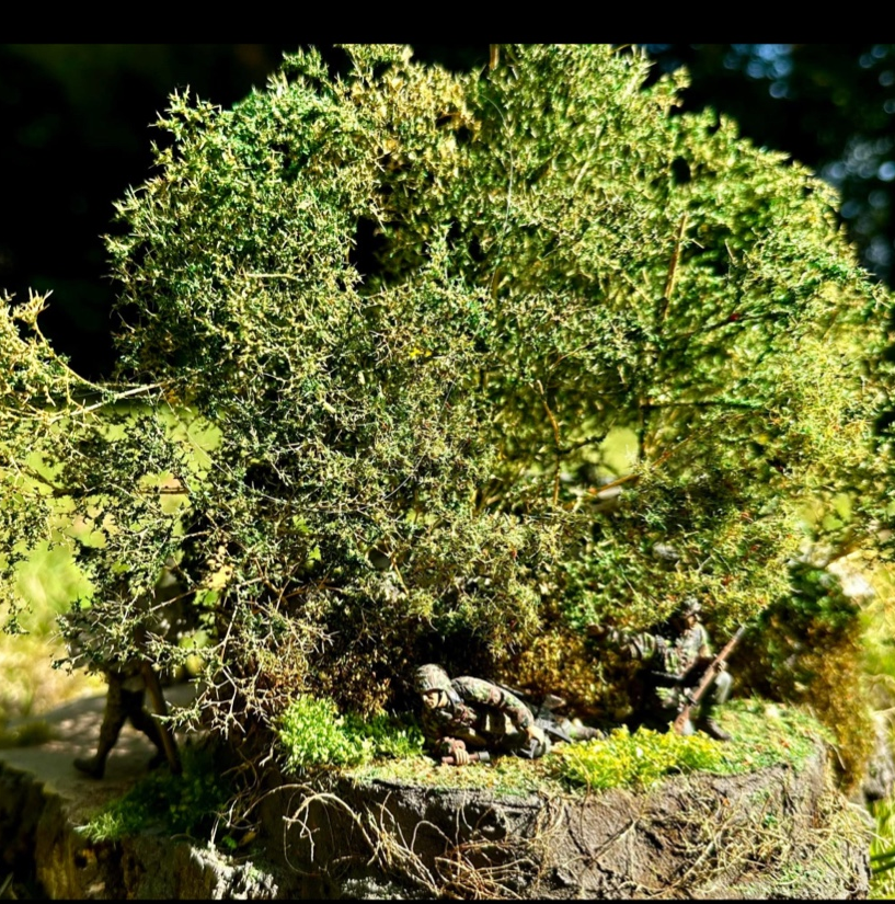 Bild Bob Valkenburgh